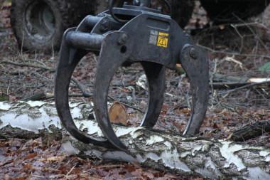 Lesnický drapák